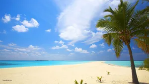 Cute Summer White Sand Beach Wallpaper