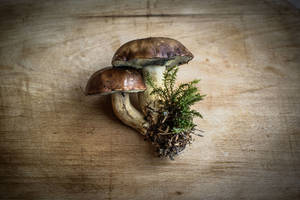 Cute Uprooted Mushroom On Wooden Table Wallpaper