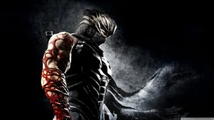 Cyber Arm Ninja Gaiden 3 Wallpaper