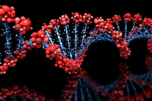 D N A Double Helix Structure Wallpaper