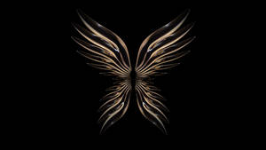 Dark Angel Wings Pc Wallpaper