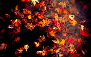 Dark Autumn Maple Leaves In Water With Ripple Effect Wallpaper