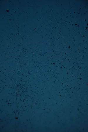 Dark Blue Concrete Wall Wallpaper