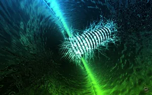 Dark Blue Green Neon Space Wallpaper