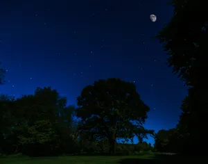 Dark Blue Sky Moonlight 4k Wallpaper