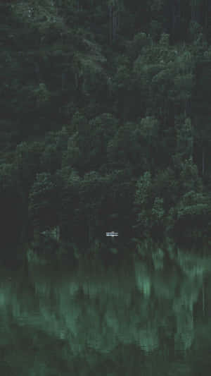 Dark Forest And River Relaxing Iphone Wallpaper