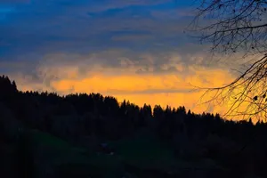 Dark Forest Sundown For Iphone Wallpaper