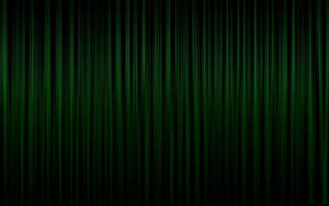 Dark Green Glowing Vertical Lines Wallpaper