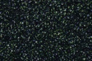 Dark Green Tiny Leaves Wallpaper