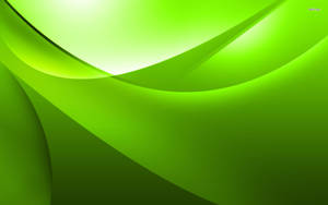 Dark & Light Green Abstract Wallpaper