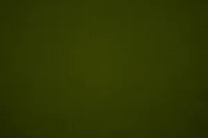 Dark Olive Greenaesthetic Desktop Plain Wallpaper