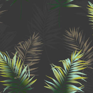 Dark Palm Leaf Against A Moody Sky Wallpaper