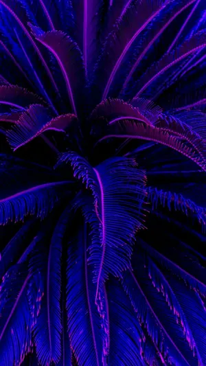 Dark Purple Aesthetic Coconut Trees Wallpaper