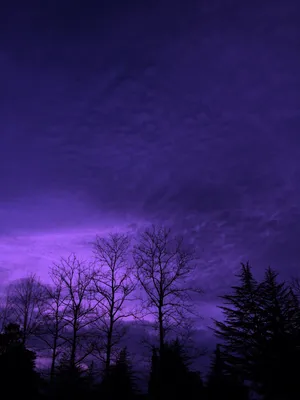 Dark Purple Aesthetic Nature Wallpaper