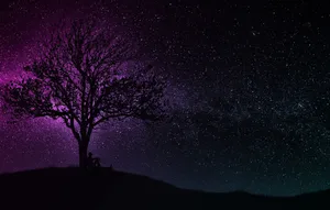 Dark Purple Blue Sparkling Sky Wallpaper