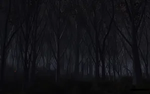 Dark Scary Haunted Forest Wallpaper