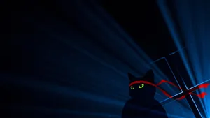 Dark Windows Cat Ninja Wallpaper
