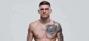 David Dvořák Photoshoot Wallpaper