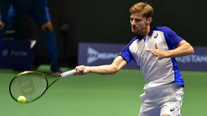 David Goffin Hit Ball Match Wallpaper