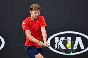 David Goffin Receiving Ball Wallpaper