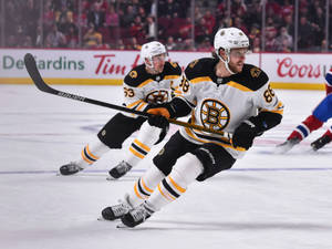 David Pastrnak Boston Bruins Vs. Montreal Canadiens Wallpaper