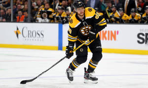 David Pastrnak Boston Bruins Vs. New York Islanders Wallpaper