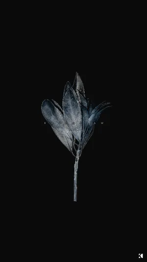 Dead Botanicals Dark Aesthetic Wallpaper