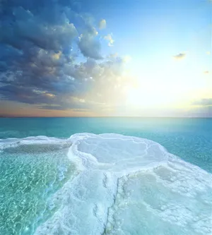 Dead Sea Salt Field And Path Wallpaper