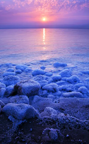 Dead Sea With Clumps Of Salt Wallpaper