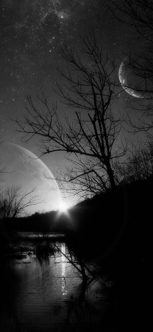 Dead Tree Under The Moon Solid Black Iphone Wallpaper