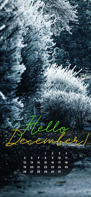 December 2021 White Christmas Wallpaper