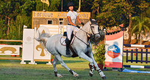 Dedicated Female Equestrian Training On Horseback Wallpaper