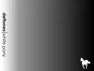 Deftones White Pony Hd Wallpaper