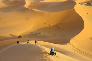 Desert Hiking In The Sahara Wallpaper