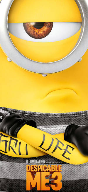 Despicable Me 3 Poster Wallpaper