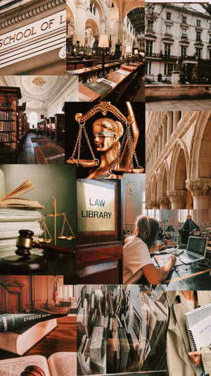 Determined Lawyer Studying Law Books Wallpaper