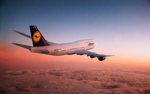 Deutsche Lufthansa Airplane Above A Rose Gold Heaven Wallpaper