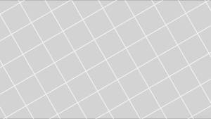 Diagonal White Grid Aesthetic Wallpaper