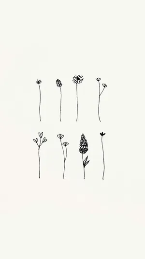 Different Flowers Aesthetic Sketches Wallpaper