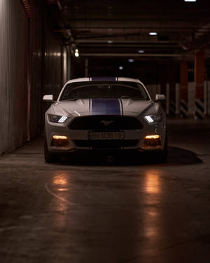 Dim Lit Ford Mustang Car Wallpaper