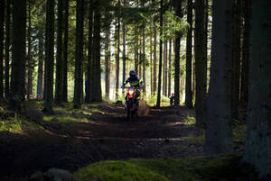 Dirtbike In Woods Wallpaper