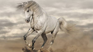 Dirty White Horse Wallpaper