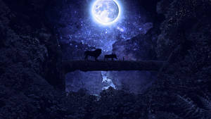 Disney Lion King Under Starry Night Laptop Wallpaper