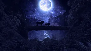 Disney Lion King Under Starry Night Laptop Wallpaper