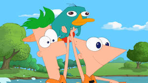 Disney Xd Phineas And Ferb Wallpaper