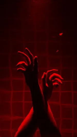 Dive Into Kink Wallpaper