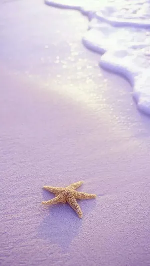 Dive Into The Beauty Of Sea Wallpaper