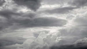 Dive Into The Cool Gray Wallpaper