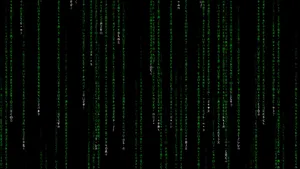 Dive Into The Matrix Wallpaper
