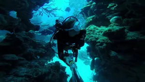 Diver On The Great Blue Hole Wallpaper